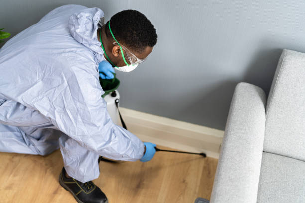 Professional Pest Control in Lowell, MI